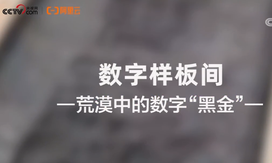 數(shù)字樣板間-荒漠中的數(shù)字“黑金”